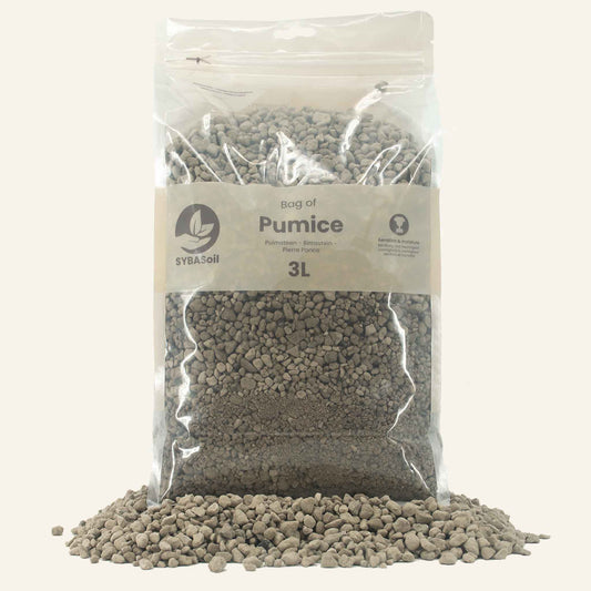 Pumice